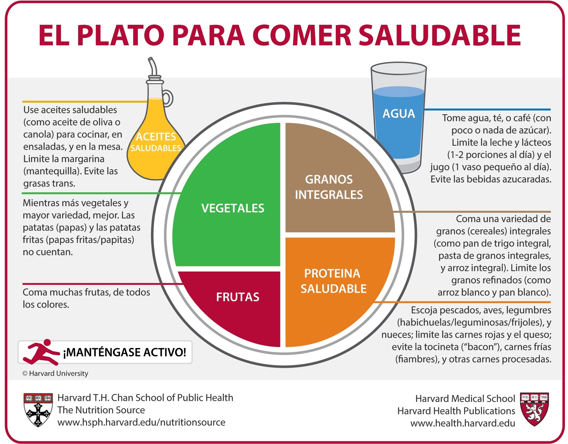 Plato de Harvard, plato saludable